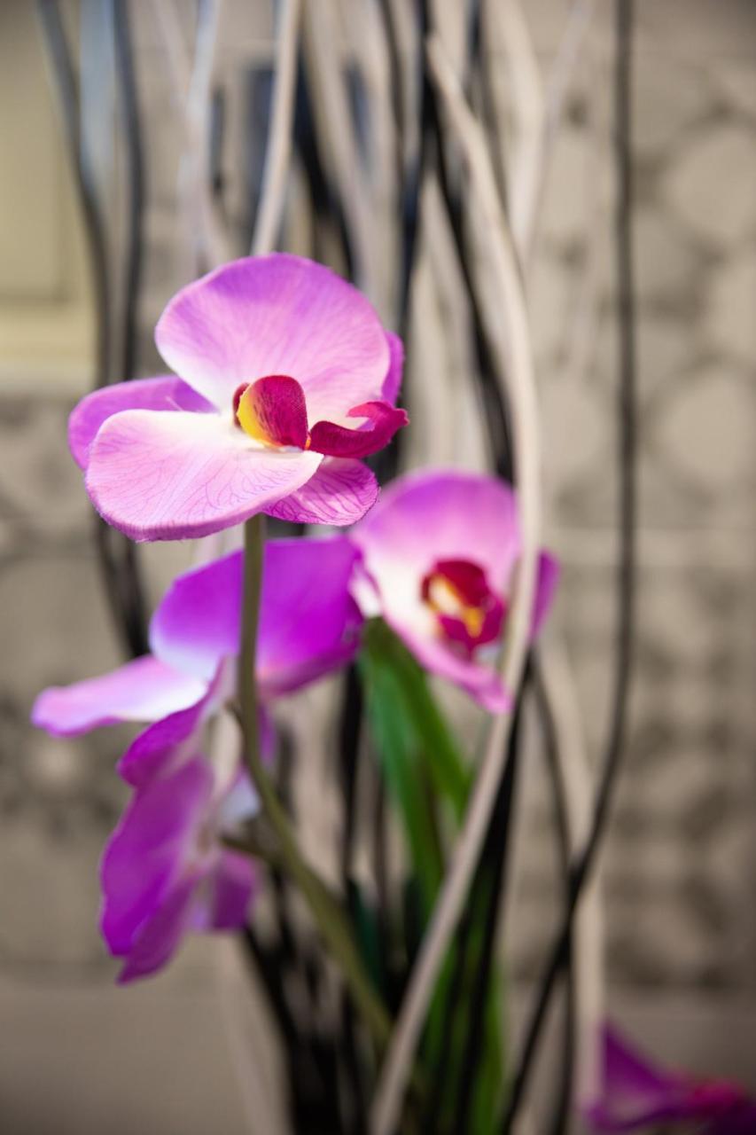 Palermo Suites & Rooms 外观 照片